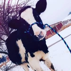 Meet your Posher, Mia